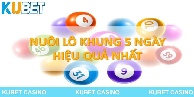 Nuôi đầu câm khung 5 ngày có nhiều điểm tương đồng với chiến lược 3 ngày